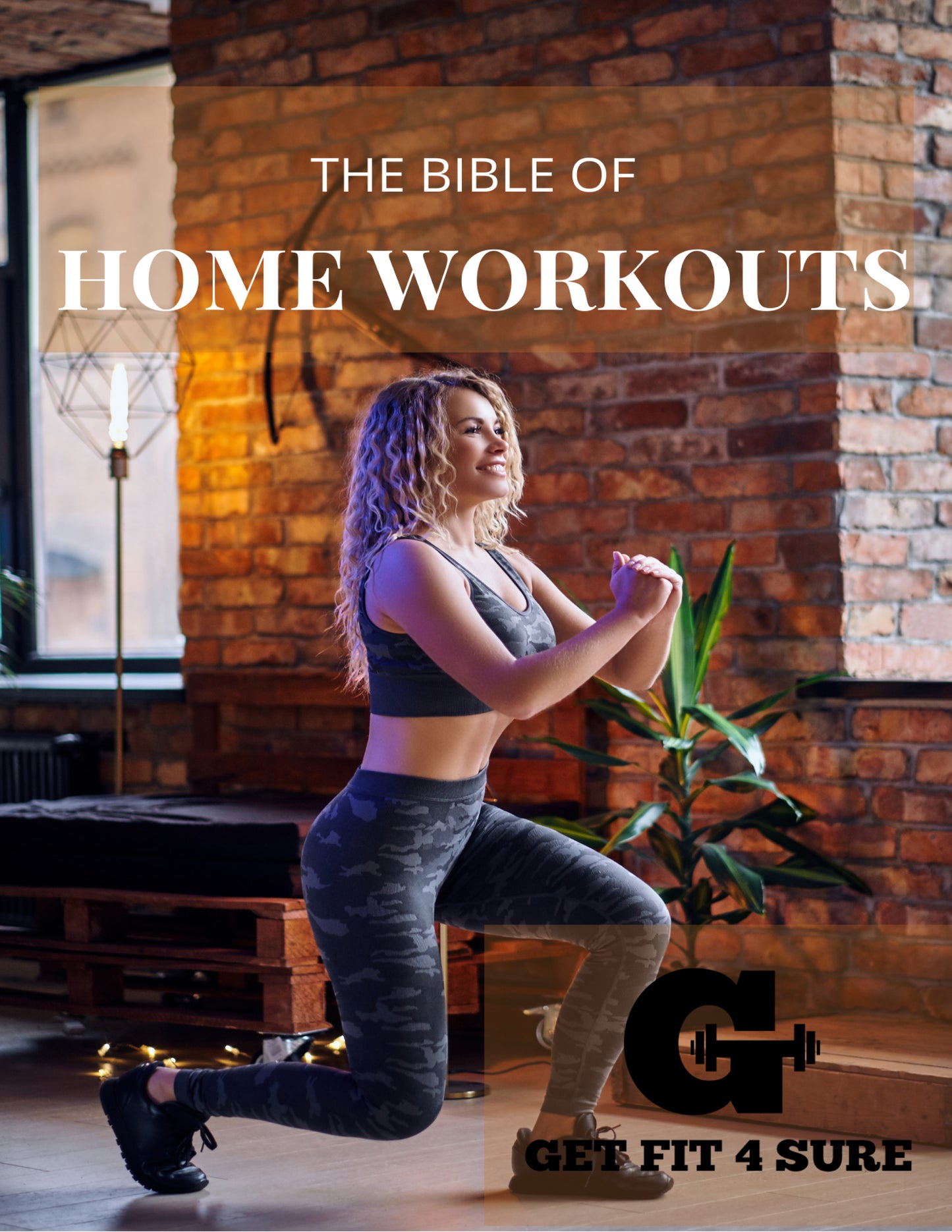 THE BIBLE OF HOME WORKOUTS